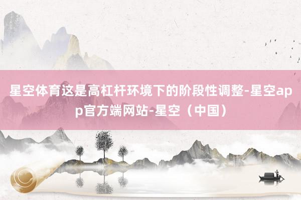 星空体育这是高杠杆环境下的阶段性调整-星空app官方端网站-星空（中国）